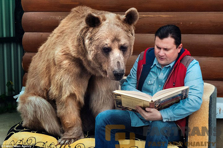 Không nhầm đâu! Việc các anh bạn Nga ngố này chơi với gấu là một chuyện quá bình thường ở Hành tinh Nga!