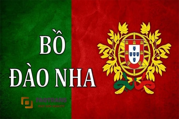 Dịch tài liệu tiếng Bồ Đào Nha đa chuyên ngành, đa lĩnh vực