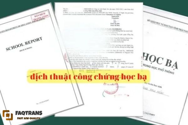Lý do bạn nên chọn dịch vụ dịch thuật công chứng học bạ tại FAQTrans