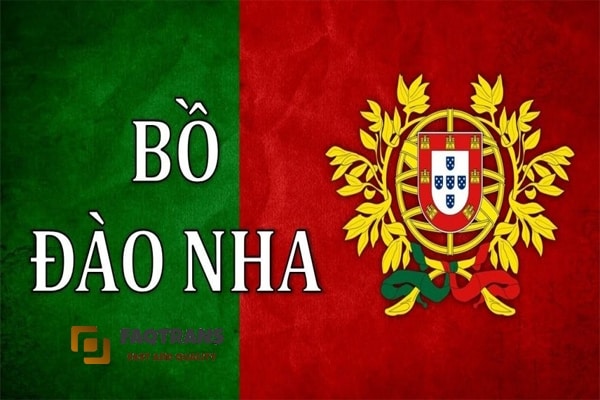 Dịch tài liệu tiếng Bồ Đào Nha đa chuyên ngành