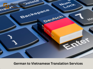 german to vietnamese translation definition explaining accuracy grammar terminology and natural language structure