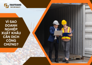 Doanh nghiệp xuất khẩu