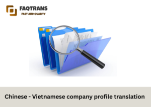 What is Chinese – Vietnamese company profile translation?